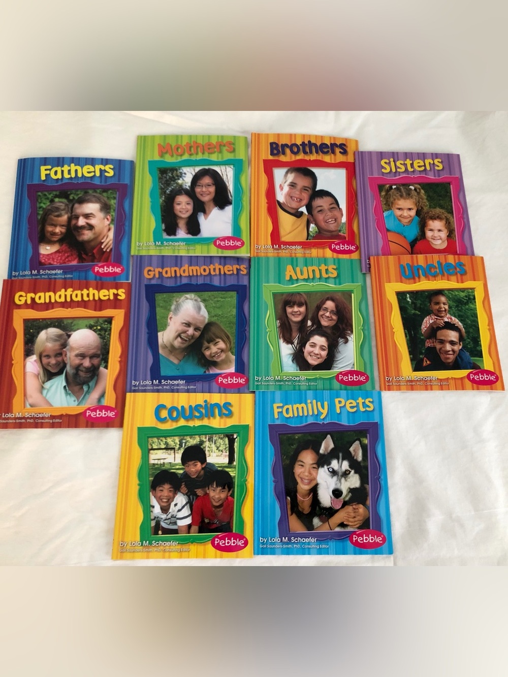 Capstone “Families” 10 Book Set Social Studies K-2 Curriculum